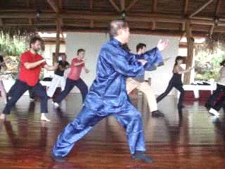 Wahnam Taijiquan