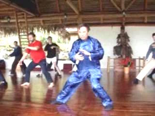 Wahnam Taijiquan