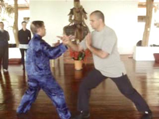 Wahnam Taijiquan