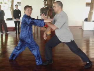 Wahnam Taijiquan