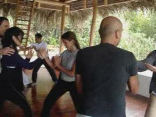 Wahnam Taijiquan