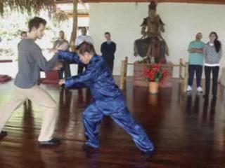 Wahnam Taijiquan