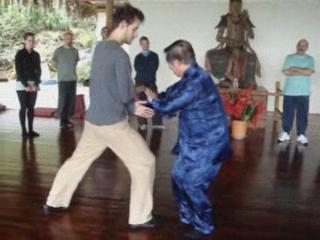 Wahnam Taijiquan