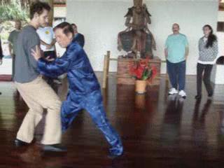 Wahnam Taijiquan