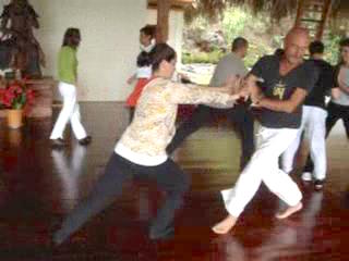 Wahnam Taijiquan