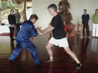 Wahnam Taijiquan