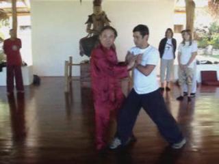 Wahnam Taijiquan