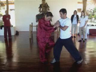 Wahnam Taijiquan