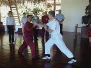 Wahnam Taijiquan