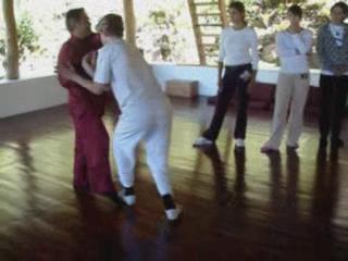 Wahnam Taijiquan