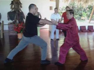 Wahnam Taijiquan