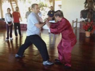 Wahnam Taijiquan