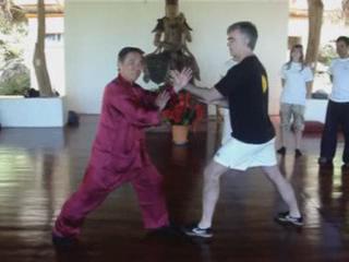 Wahnam Taijiquan