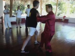 Wahnam Taijiquan