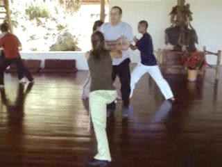 Wahnam Taijiquan