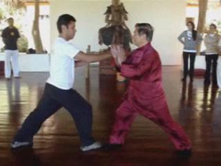 Wahnam Taijiquan