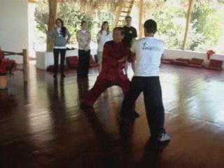 Wahnam Taijiquan