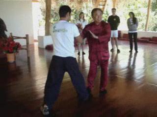 Wahnam Taijiquan