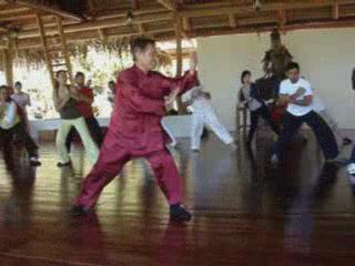 Wahnam Taijiquan