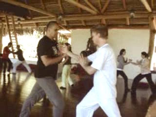 Wahnam Taijiquan