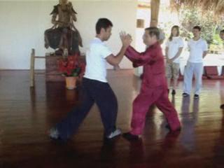 Wahnam Taijiquan