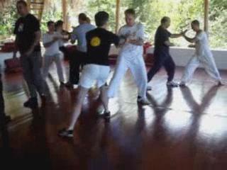 Wahnam Taijiquan