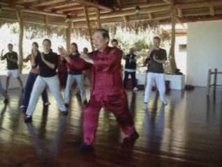 Wahnam Taijiquan