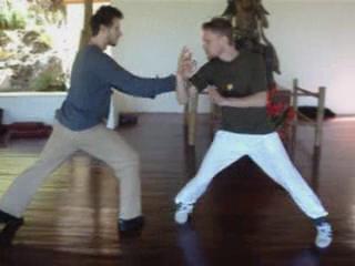 Wahnam Taijiquan