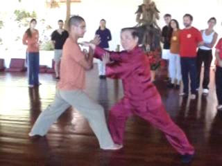 Taijiquan