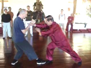 Taijiquan