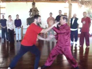 Taijiquan