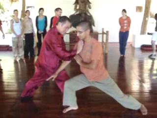 Taijiquan