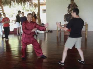 Taijiquan