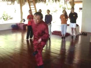 Taijiquan