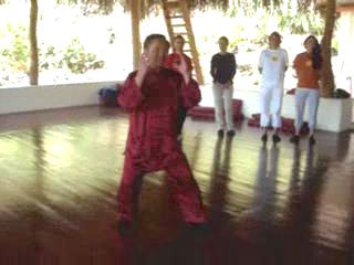 Taijiquan