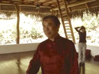 Taijiquan