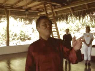 Taijiquan