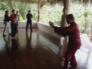 Taijiquan