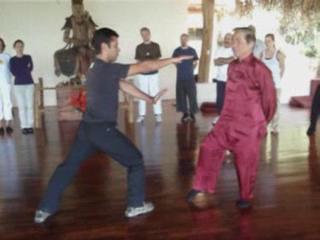 Taijiquan