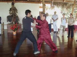 Taijiquan