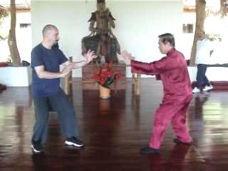 Taijiquan