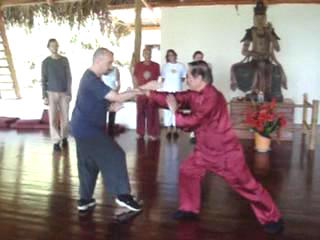 Taijiquan