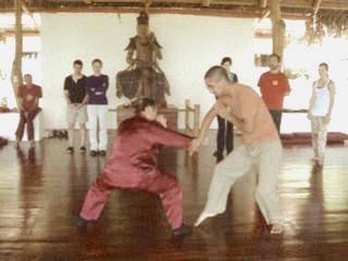 Wahnam Taijiquan