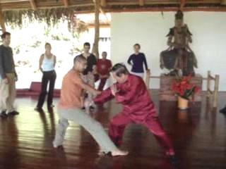 Taijiquan