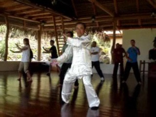 Wahnam Taijiquan