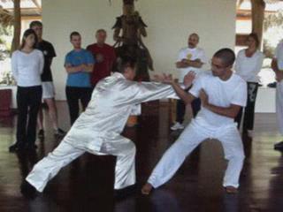 Shaolin Kungfu