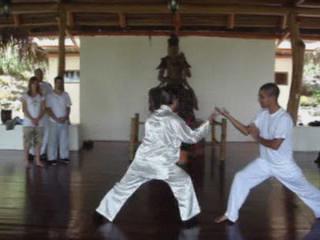 Shaolin Kungfu