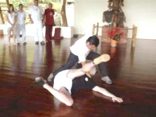 Wahnam Taijiquan