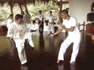 Wahnam Taijiquan