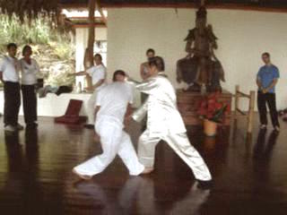 Wahnam Taijiquan